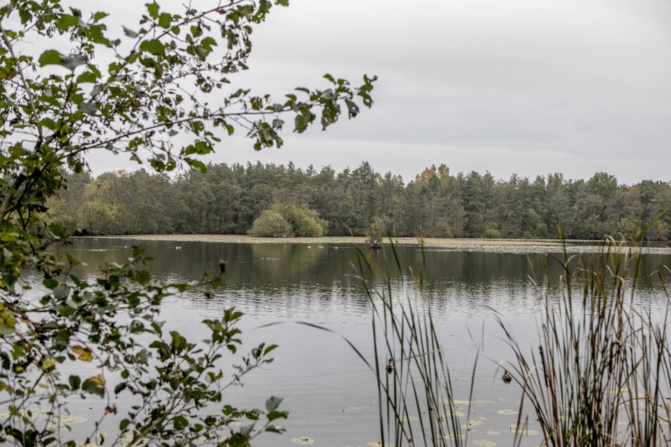 De vijvers van Lacourt, een idyllische plek in het Broek.