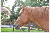 thumbnail: null
