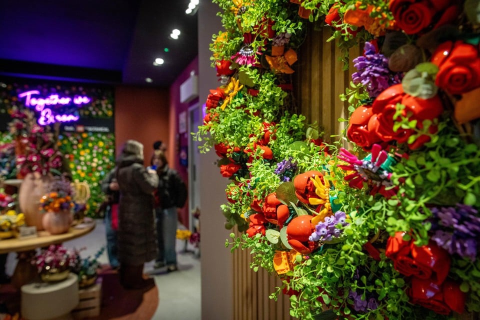 First Lego-Bloemenwinkel in our country immediately attracts a lot of enthusiasts to Antwerp: “Wonderful occupation for family” (Antwerp)