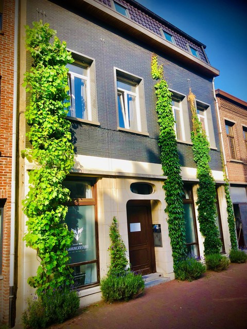 Studio Cordula met zijn herkenbare groene gevel in de Sint-Cordulastraat.