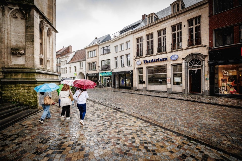 Het Theatrium recht tegenover de Sint-Romboutskathedraal.