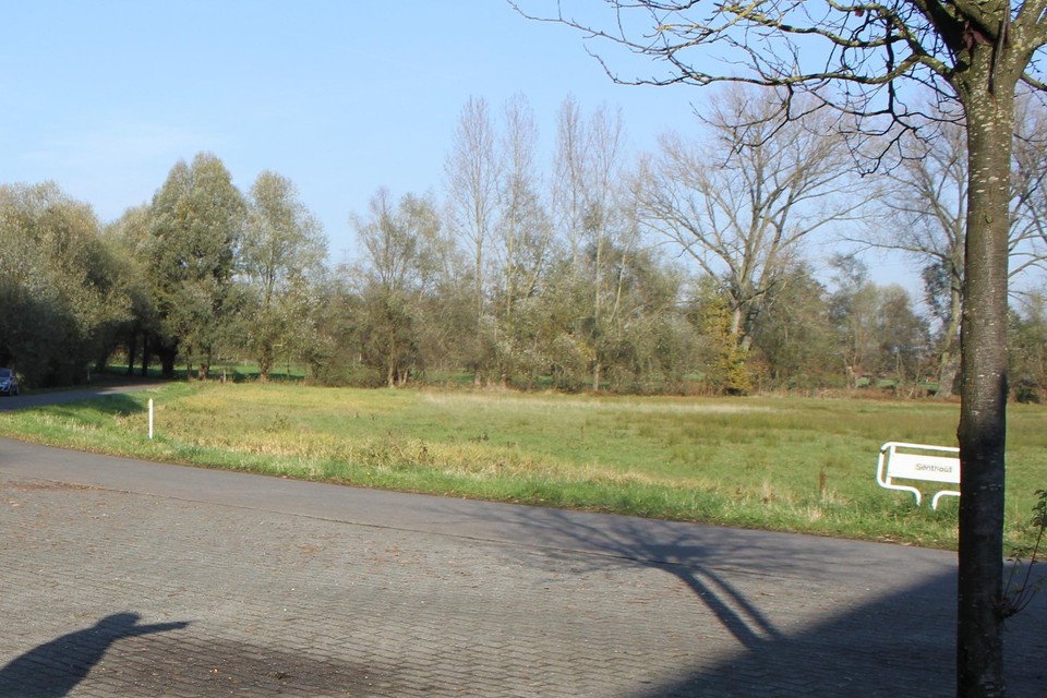 Een zicht vanuit de Hoevelaan op Senthout.