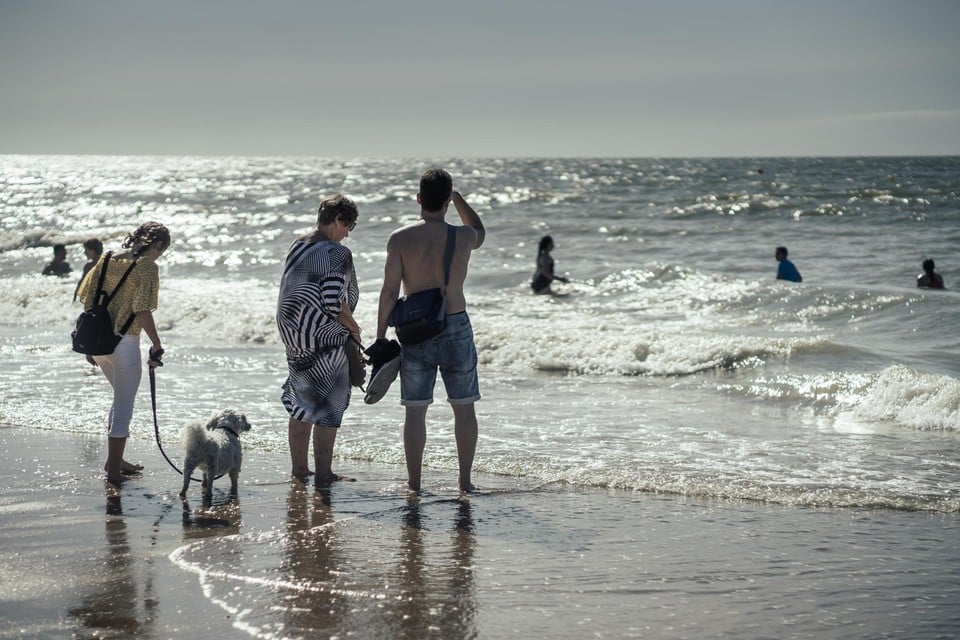 Een dagje kust kon er wel af in de zomer, maar veel werknemers hebben hun groot verlof pas dit najaar gepland.