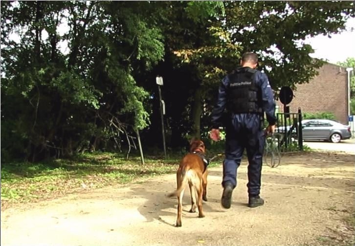 De lokale politie doet de jongste tijd vaker beroep op een speurhond.  