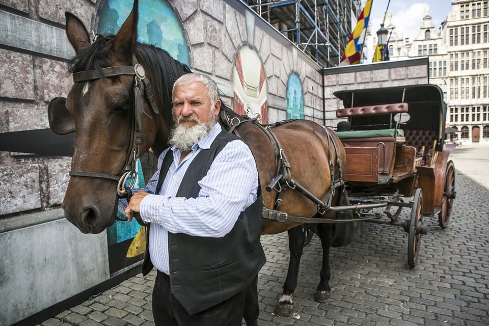 zaterdag Wat dan ook Rot Antwerpse koetsier: “Met voldoende water en beweging kunnen paarden wél  tegen de warmte” (Antwerpen) | Gazet van Antwerpen Mobile