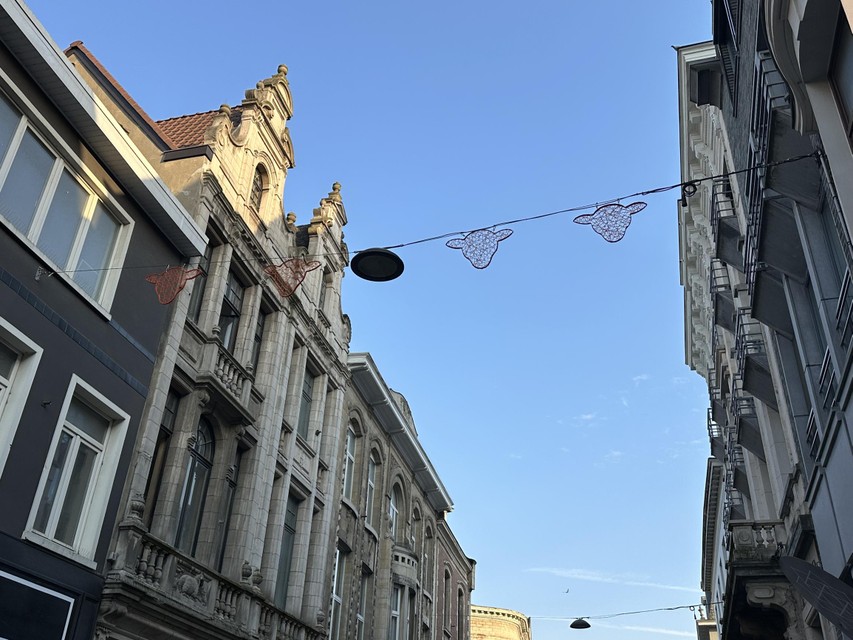 De schapenkoppen hangen in de Antwerpsestraat, Rechtestraat en Kartuizersvest.