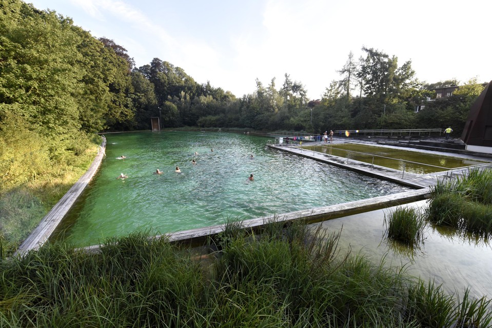 De zwemvijver van Boekenbergpark. 