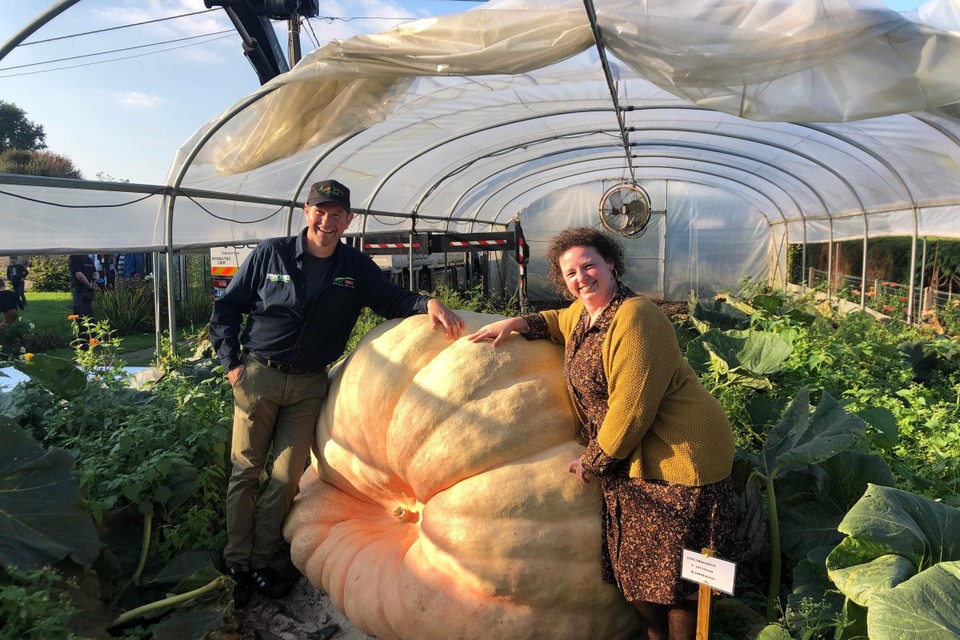 Mario Vangeel en zijn vrouw Bieke Van Ballaer uit Kasterlee bij de reuzenpompoen van uiteindelijk 1.106,5 kilo.