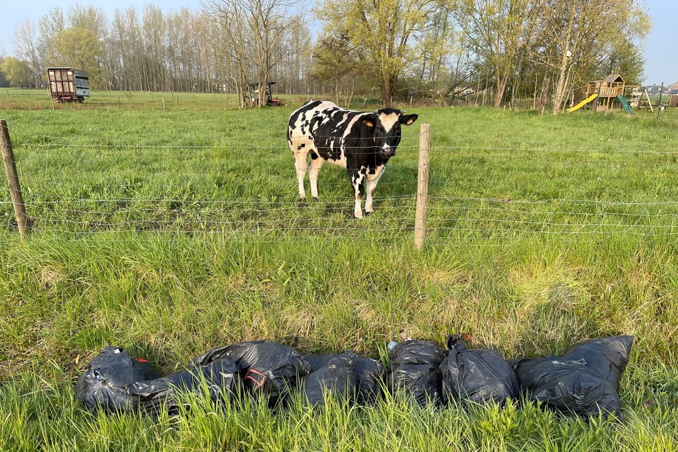 De vuilniszakken liggen verspreid over twee locaties op enkele tientallen meters van mekaar.