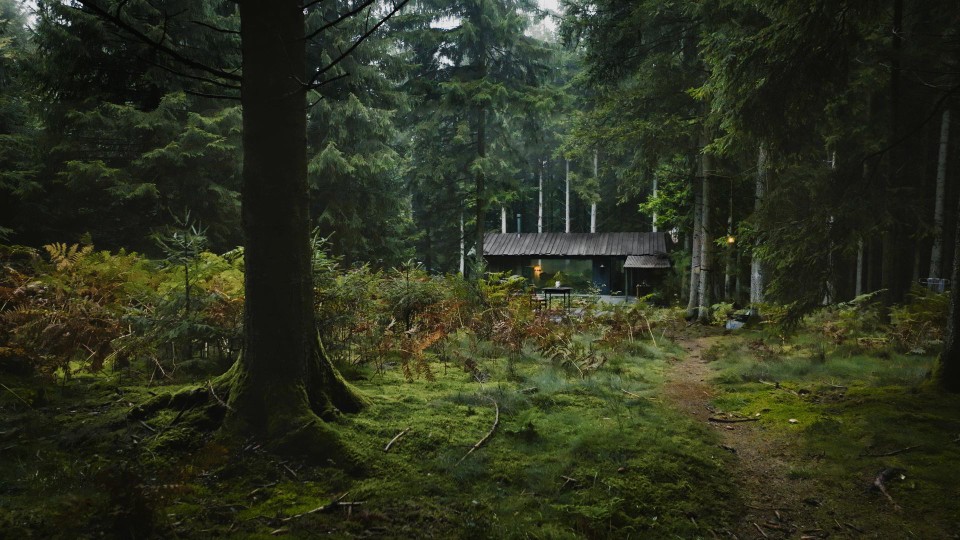 Het boshuis, ook een soort kluis, in het tv-programma Door de bomen, dat veel lof krijgt.