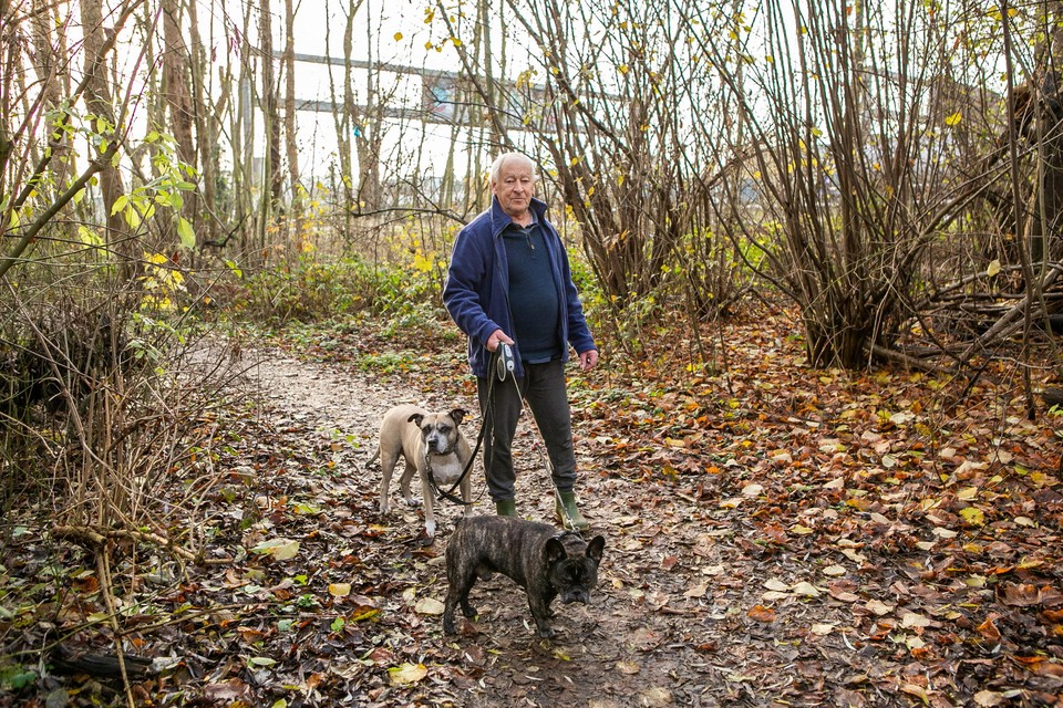 Marc Berckmoes (73) woont vlakbij en gaat dagelijks twee keer in het strookje bos wandelen dat plaats zal ruimen voor de tijdelijke snelweg. De huidige is op de achtergrond zichtbaar. 