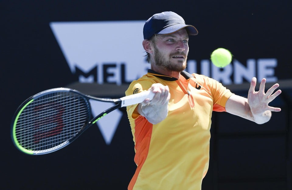 Goffin in actie.