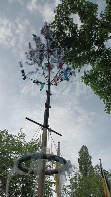 De meiboom van fanfare De Kempenzonen in Tielen.