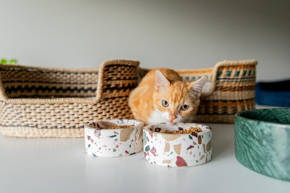 De voerbakken van Maurette werden goedgekeurd door de katten van het koppel.