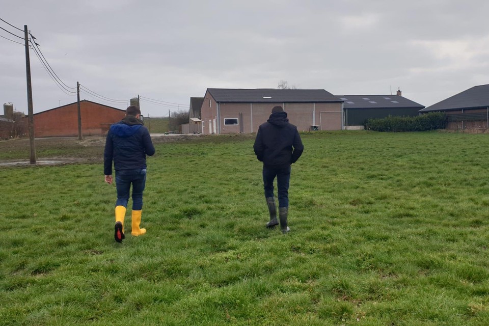 Met de Nattebottenwandeling stap je door weilanden.
