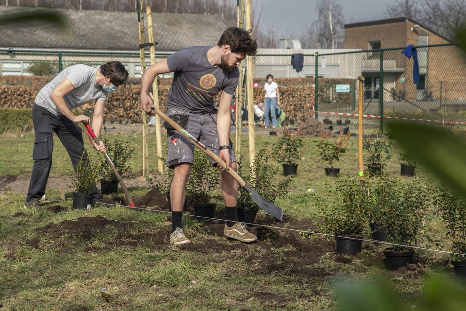 Leerkrachten, leerlingen en directie werken samen voor de aanleg van de buitenklassen.