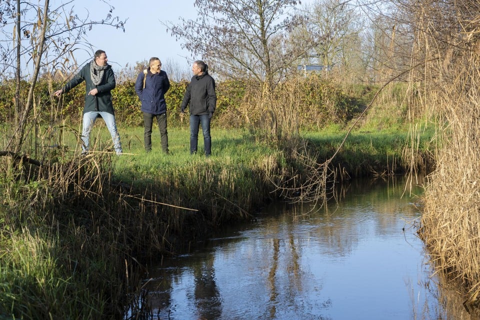 Nederlandse en Belgische waterbeheerders aan de oever van Het Merkske. We werken hier perfect samen aan het ecologisch beheer van de beek.”   