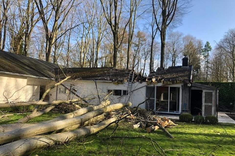 Een boom van zo’n twintig meter hoog in haar tuin knakte en viel recht op het dak van haar huis.  