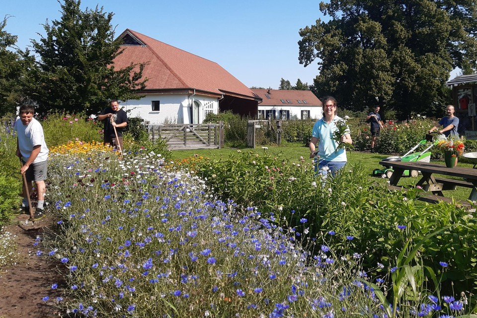 Meer dan veertig verschillende soorten bloemen staan er in de plukweide van Talander, van dahlia‘s tot korenbloemen, zinnia’s, leeuwenbekjes, gipskruid en zonnebloemen.