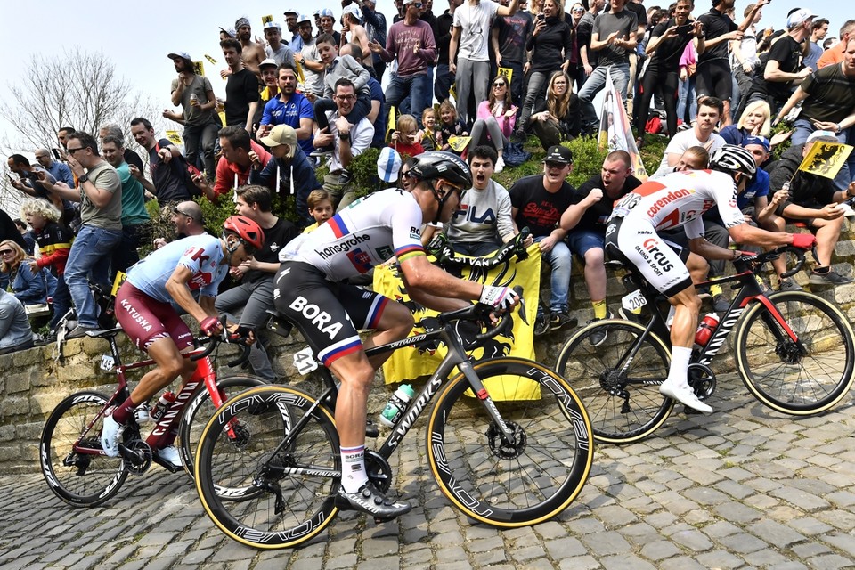 Geen Sagan in de Ronde van Vlaanderen dit jaar.