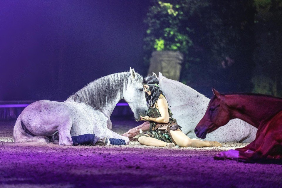 Secret of Eternity: het contact tussen paard en ruiter is vaak innig.