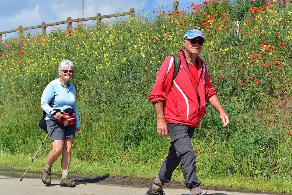 Deelnemers aan de Slakkengang kunnen 8, 14 of 20 kilometer stappen.