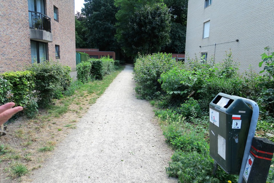 Het volgens bewoners van de Lodewijk Weijtenstraat verminkte buurtparkje Klein Veld. De gemeente haalt ‘onveiligheidsgevoelens’ aan als argument. 