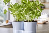 thumbnail: Kruidenpot voor twee plantjes - Mepal - 14,99 euro 