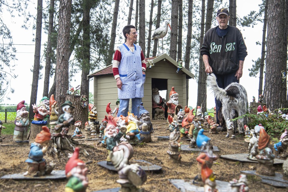 Tellen doen Ronny Van Mechgelen en Annemie Leysen niet meer. Ze schatten dat er zo’n 150-tal kabouters voor hun chalet staan.