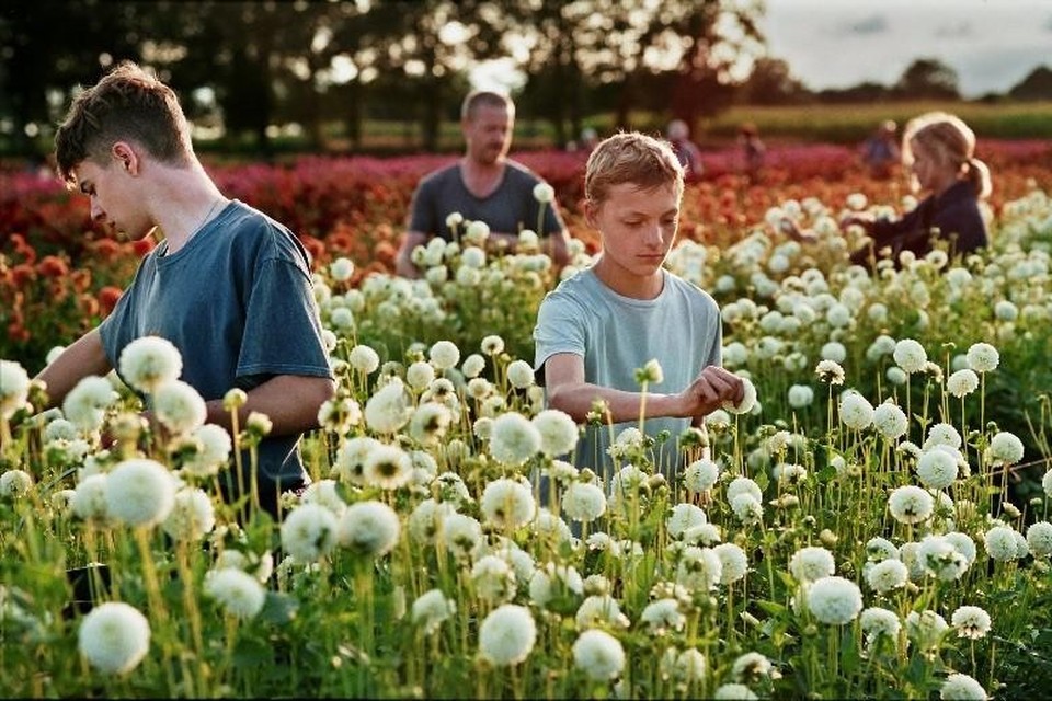 ‘Close’, de tweede film van Lukas Dhont over twee boezemvrienden, maakt kans op een Gouden Palm in Cannes. 