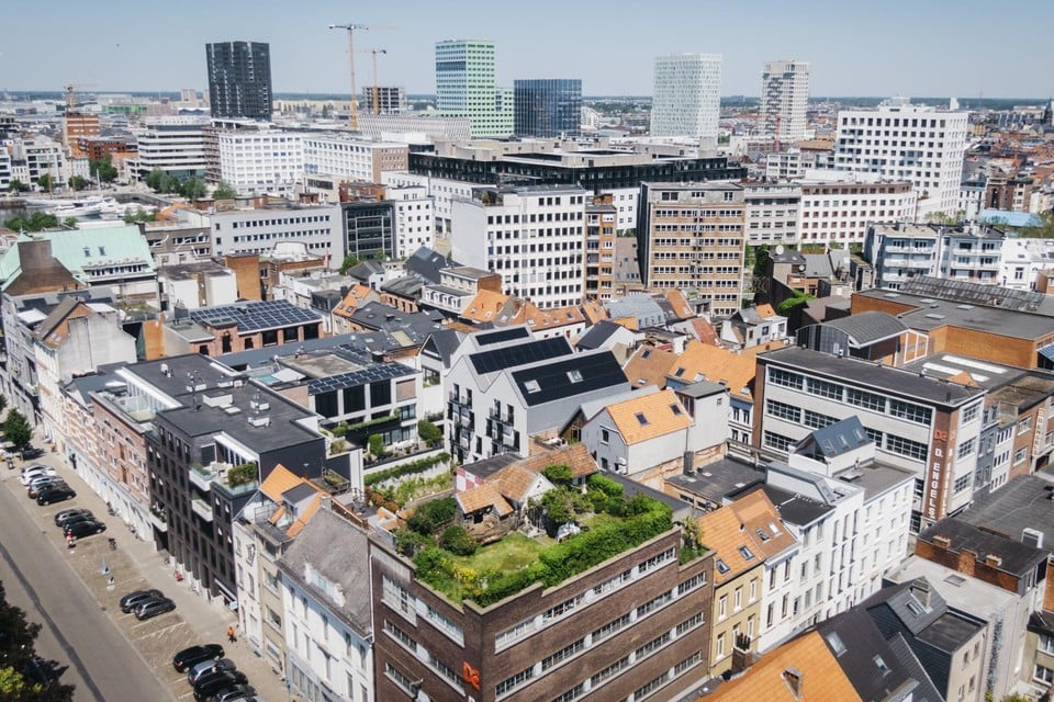 Jan en Kristina Engels wonen al zo’n dertig jaar op de bovenste verdieping van een pakhuis naast het Hessenhuis. De trap naar het dak leidt hun gasten naar een grote verrassing.