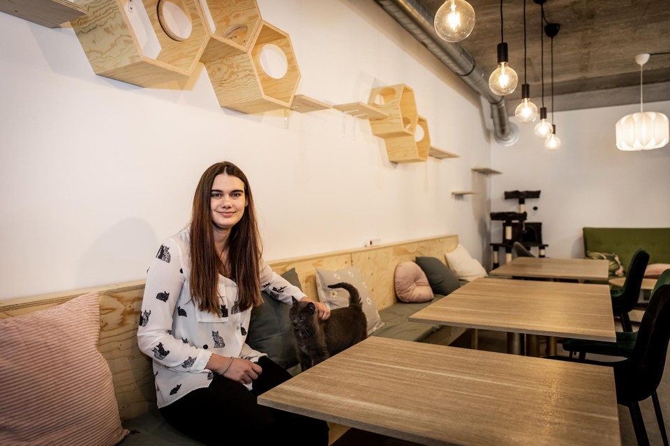 In de zaak heeft Axelle plaats voor een dertigtal gasten.