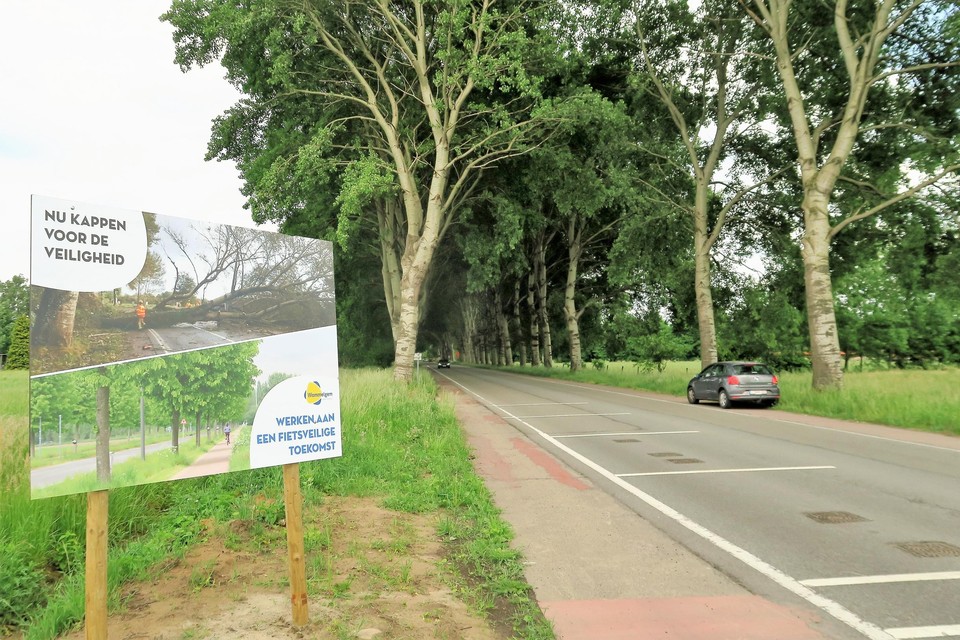 De gemeente kondigt de kap van de dreef zelf aan met een affiche langs de Oelegemsteenweg. 