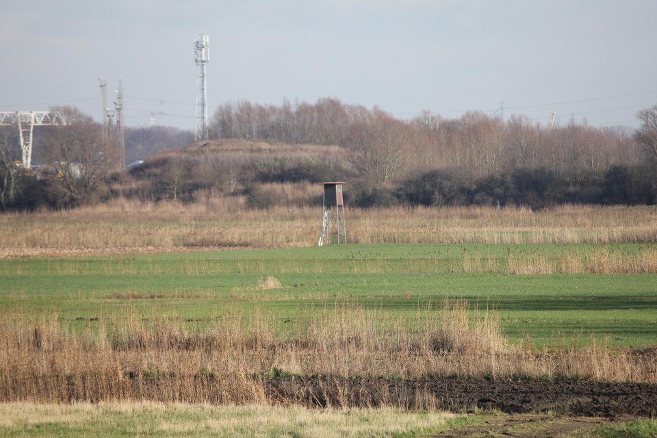 De kansel verscheen een tijdje geleden in het poldergebied.