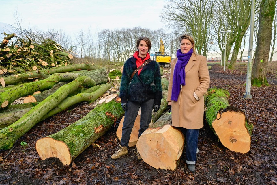 Minne en Eva van Buurman bij de esdoorns waarvan zij het hout gaan hergebruiken.
