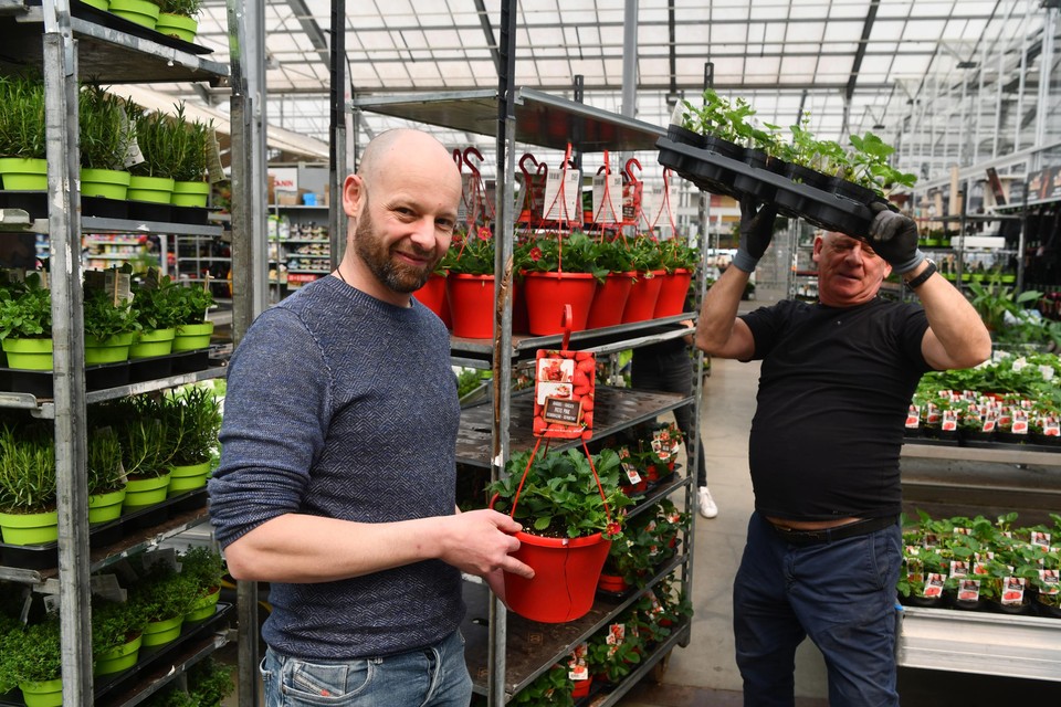 David Van Uytsel van het gelijknamige tuincentrum in Kontich: “We hebben vooral een tekort aan grotere planten en hagen.”