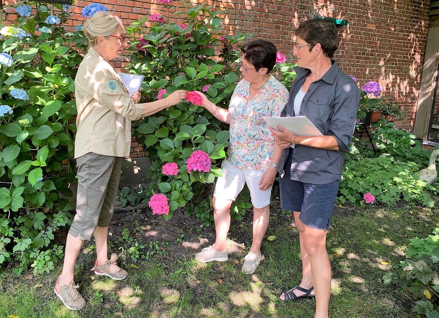 Linda en Lutgarde geven advies aan Myriam Dirven
