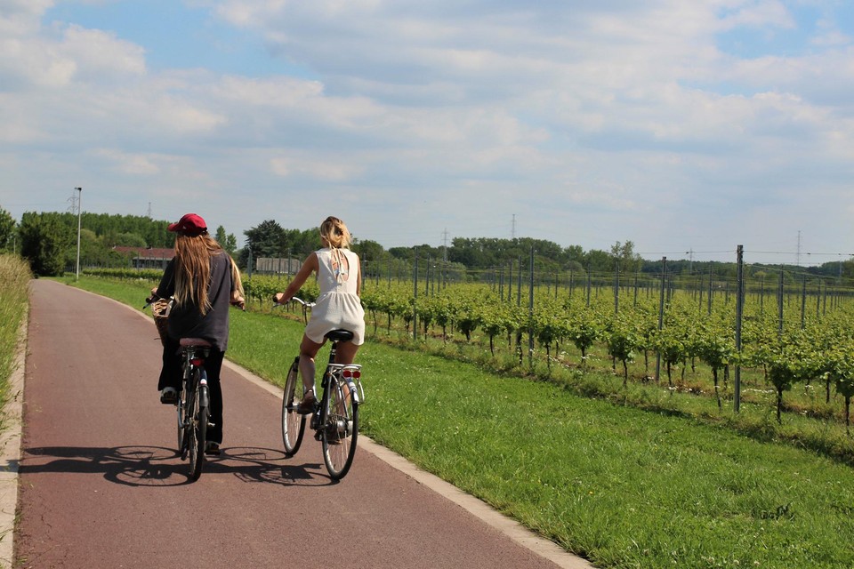 Op de 12 km kom je de verschillende velden van Oud Conynsbergh tegen.