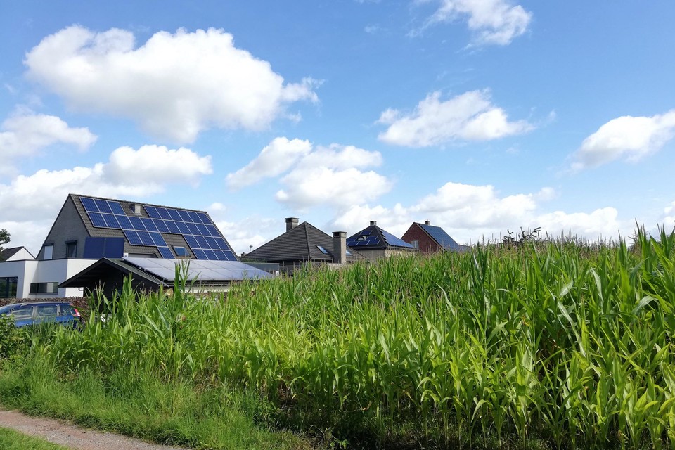Volgens de oorspronkelijke plannen zou het BMX-parcours vlak achter de woningen komen. Nu staat er maïs.