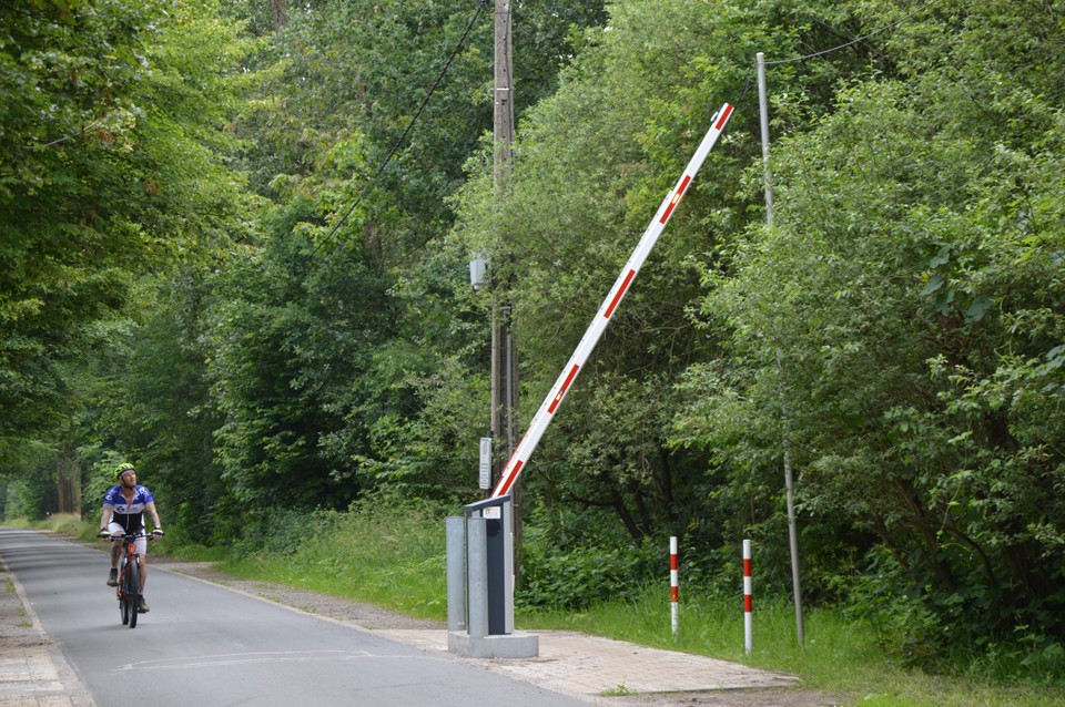 Deze mountainbiker kijkt ook verbaasd naar boven, waar de bareel op de elektriciteitskabel rust.