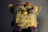 thumbnail: null