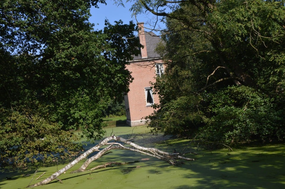 Broechemhof zit in de zomer verstopt achter het lover.