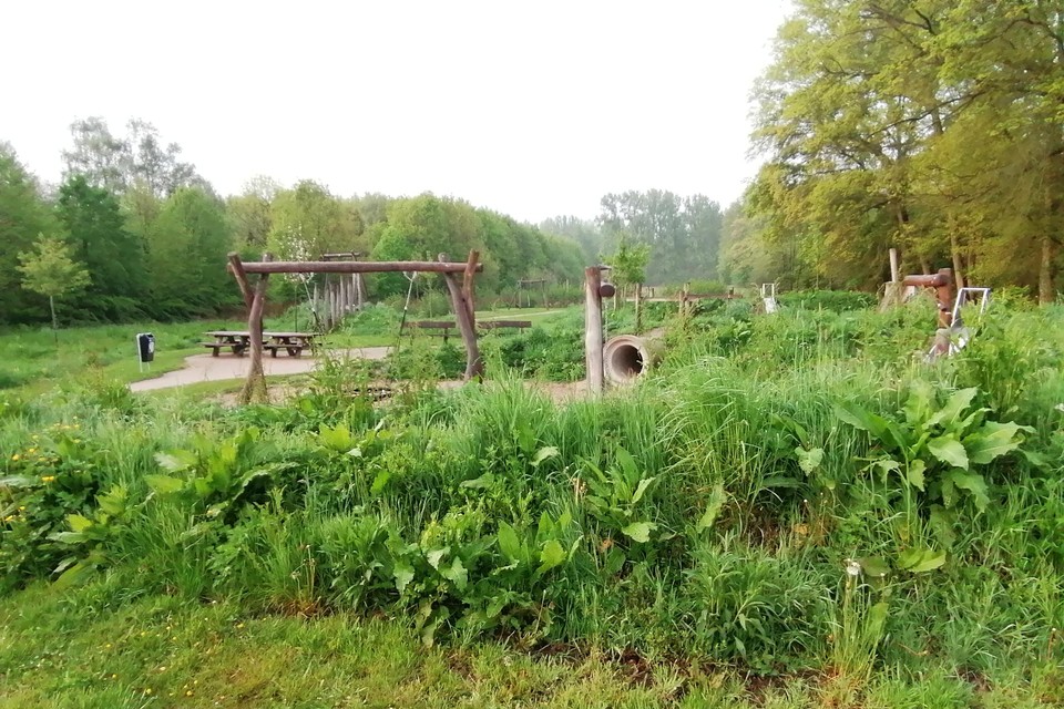 Begroeiing natuurspeeltuin Kessel