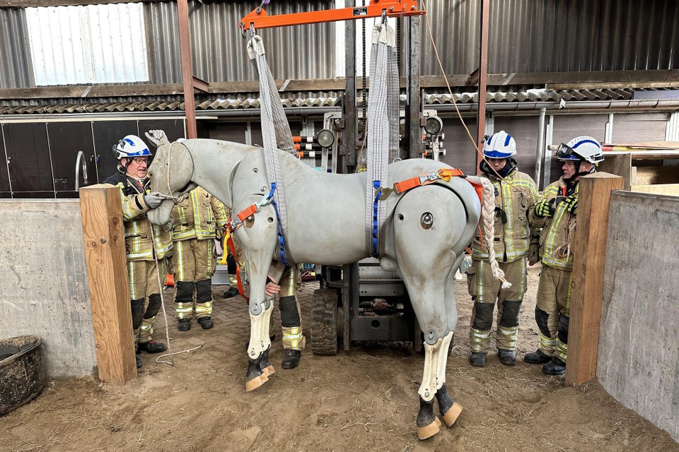 De brandweer van de hulpverleningszone Taxandria kan voortaan gebruikmaken van een oefenpaard.