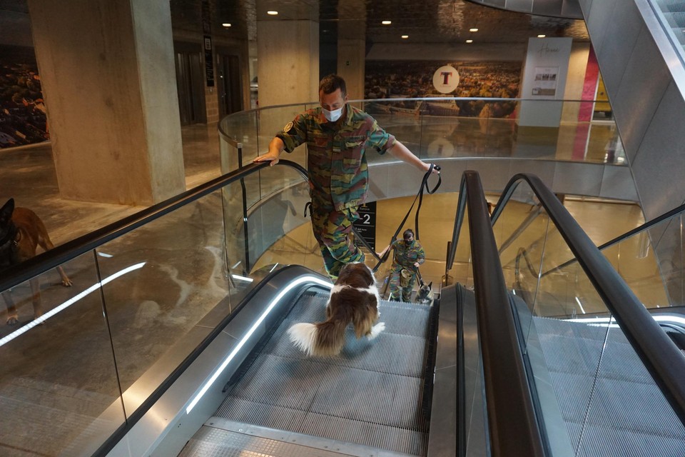 Een hondenbegeleider traint zijn hond op de roltrappen.