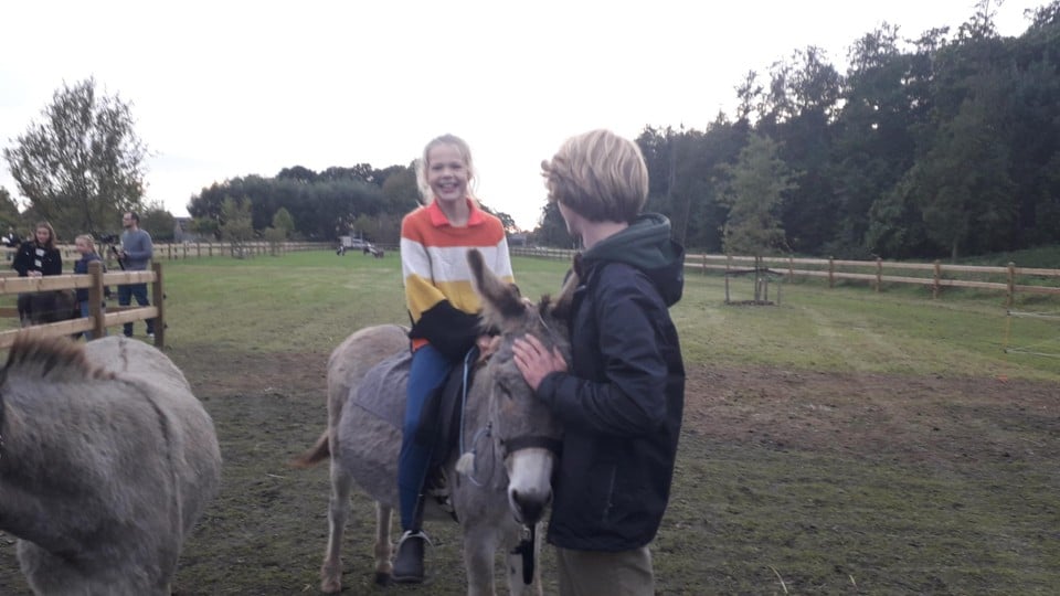 Therapie met minipaardjes en -ezeltjes voor kinderen met autisme.