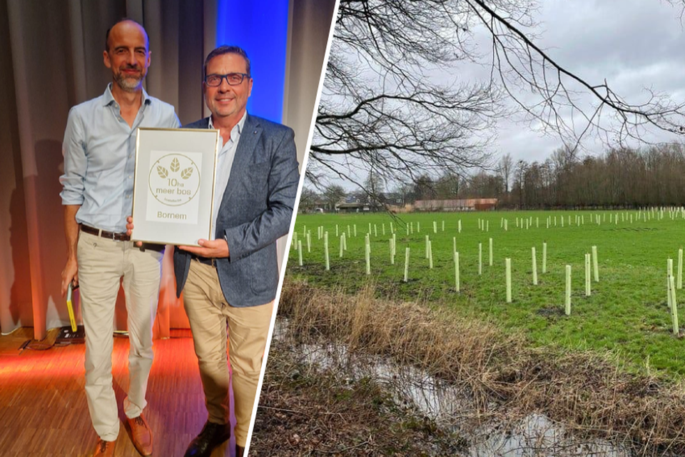 Bornem plantte sinds 2019 meer dan 10 ha bosgrond aan, en wordt daarvoor beloond met het gouden boslabel van de Vlaamse Bosalliantie.