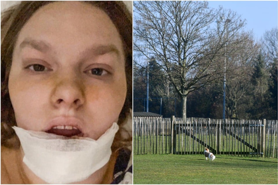 Lejla vlak na het incident (links). Rechts de hondenweide aan Fort 3 in Borsbeek. De hond op de foto heeft niets met de feiten te maken.