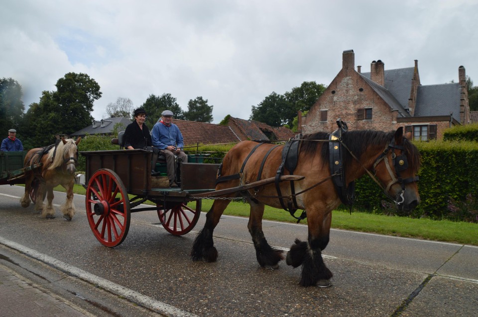 Langs de oude brouwerij in Pulderbos