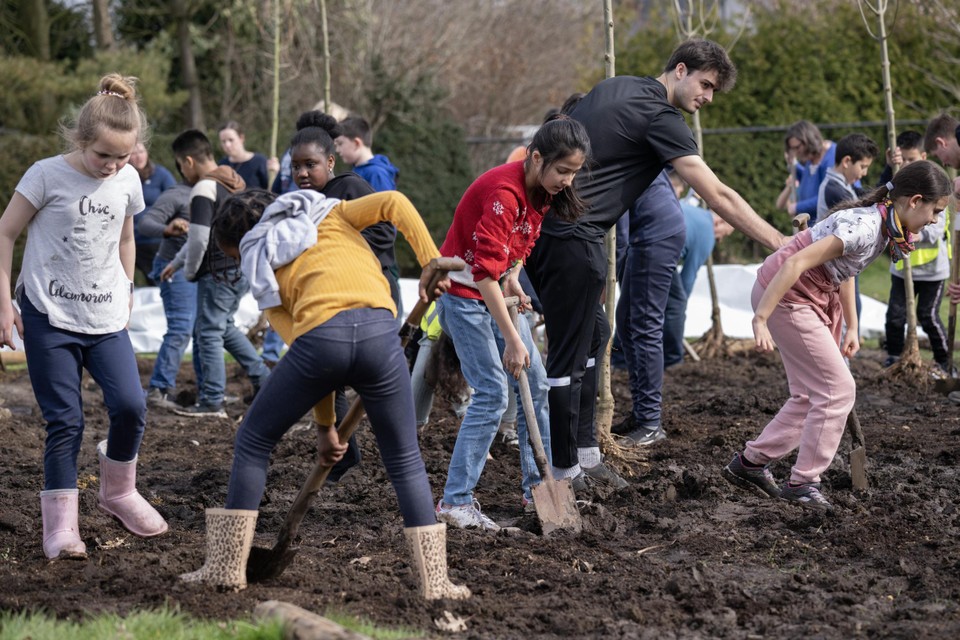 De leerlingen van de Stedelijke Basisschool gingen enthousiast aan het planten in de modder.